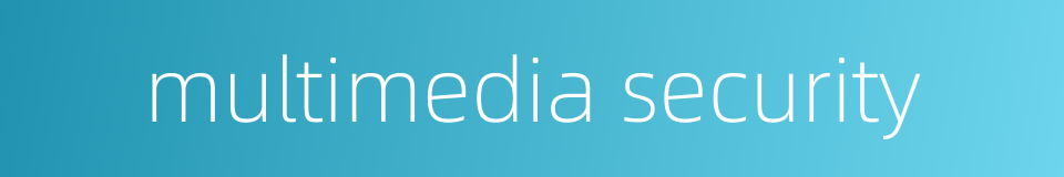 multimedia security的同义词