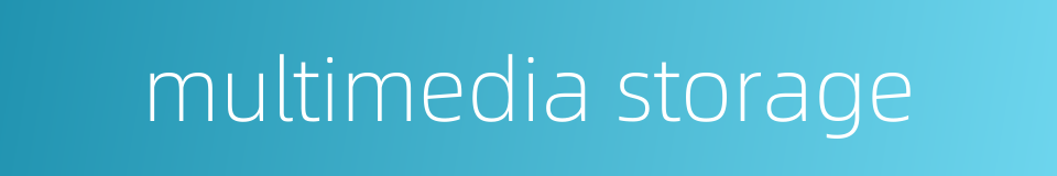 multimedia storage的同义词