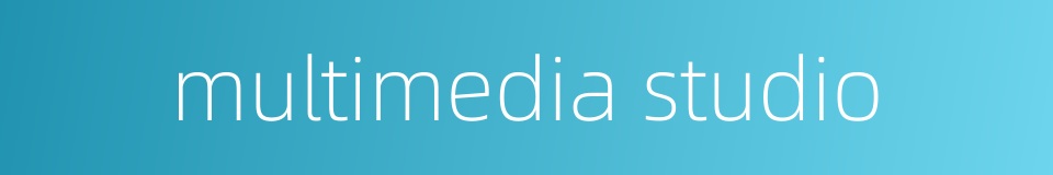 multimedia studio的同义词