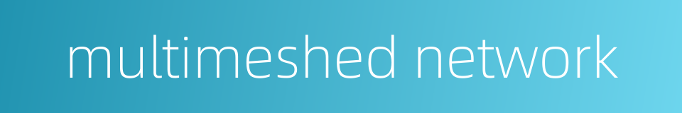 multimeshed network的同义词