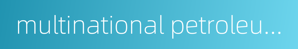 multinational petroleum company的同义词