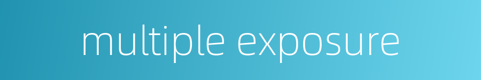 multiple exposure的同义词