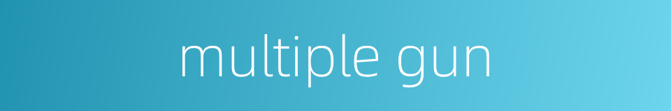 multiple gun的同义词