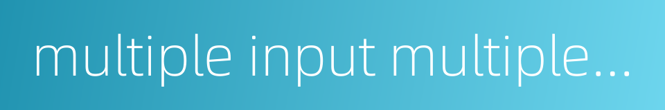 multiple input multiple output的同义词