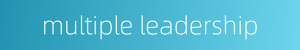 multiple leadership的同义词