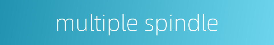 multiple spindle的同义词