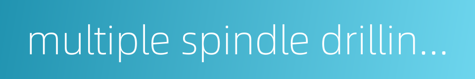 multiple spindle drilling machine的同义词