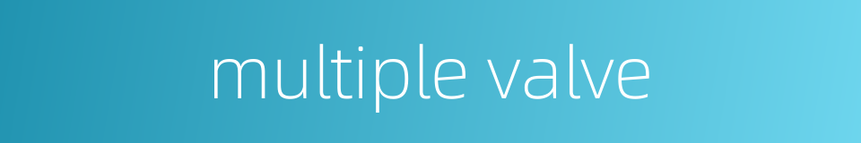 multiple valve的同义词