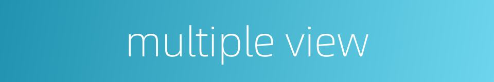 multiple view的同义词