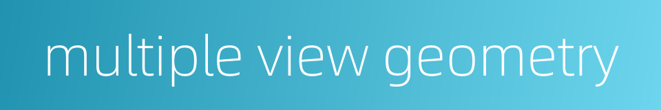 multiple view geometry的同义词