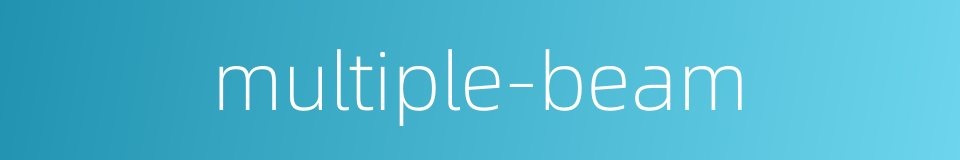 multiple-beam的同义词