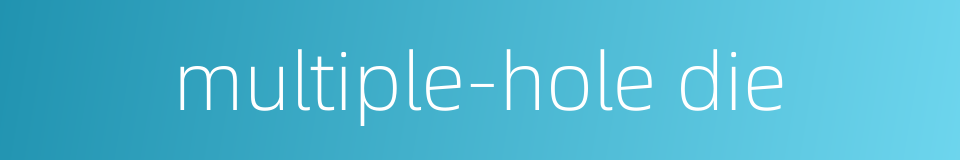 multiple-hole die的同义词