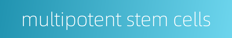 multipotent stem cells的同义词