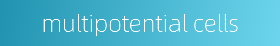 multipotential cells的同义词