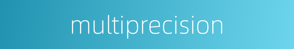 multiprecision的同义词
