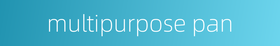 multipurpose pan的同义词