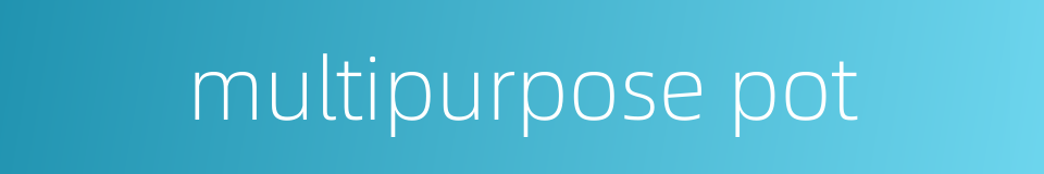 multipurpose pot的同义词