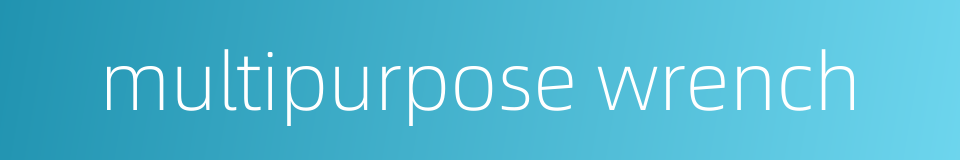 multipurpose wrench的同义词