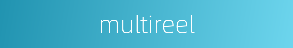 multireel的同义词