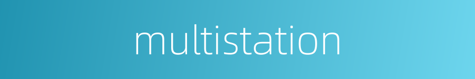multistation的同义词