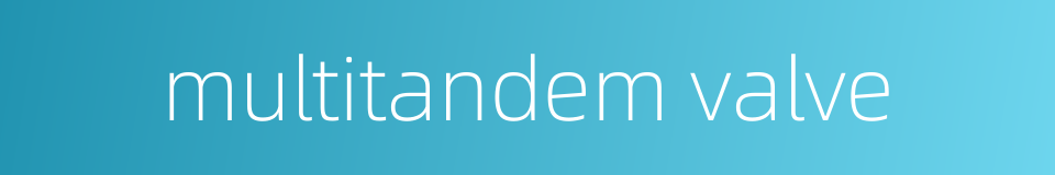 multitandem valve的同义词