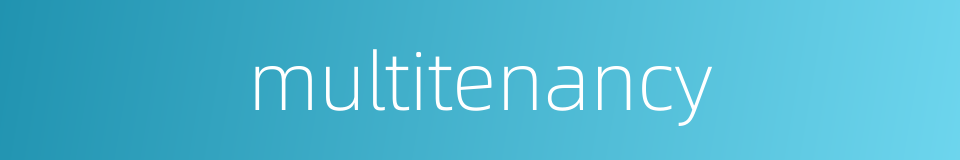 multitenancy的同义词