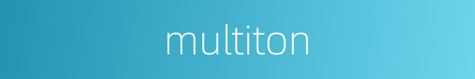 multiton的同义词