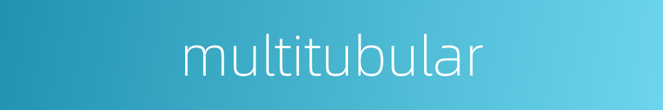 multitubular的同义词