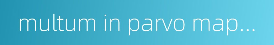 multum in parvo mapping的同义词