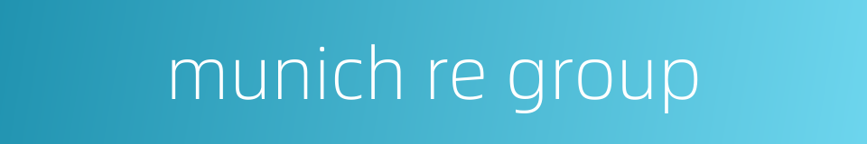 munich re group的同义词