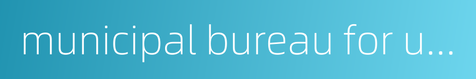 municipal bureau for urban planning的同义词