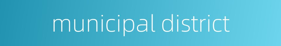 municipal district的同义词