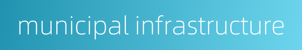 municipal infrastructure的同义词