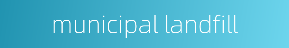 municipal landfill的同义词