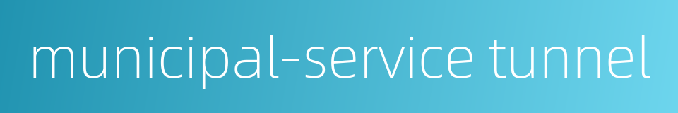 municipal-service tunnel的同义词