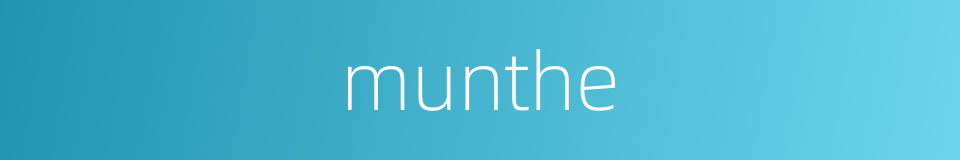 munthe的同义词