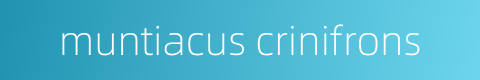 muntiacus crinifrons的同义词