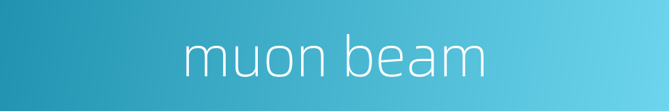 muon beam的同义词