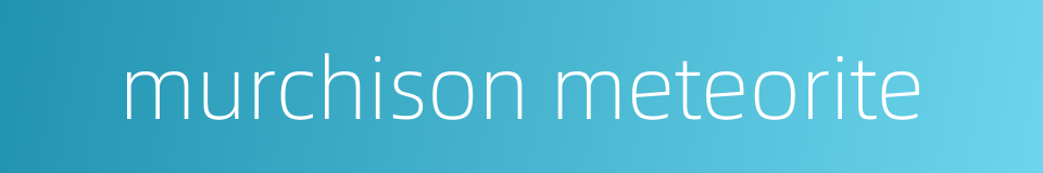murchison meteorite的同义词