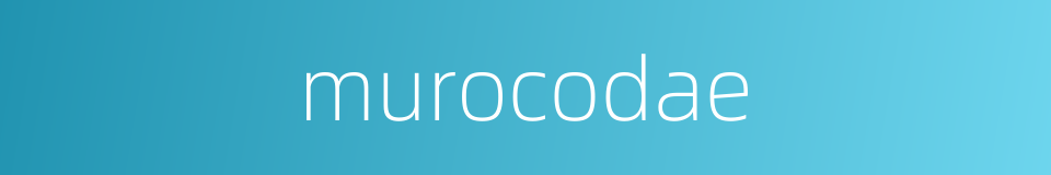murocodae的同义词