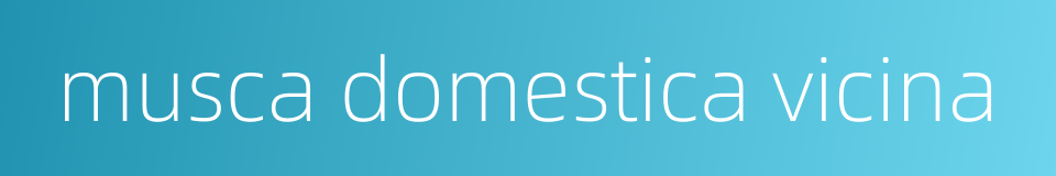 musca domestica vicina的同义词