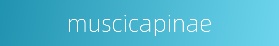 muscicapinae的同义词