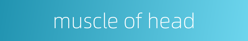 muscle of head的同义词