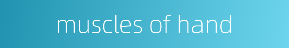 muscles of hand的同义词