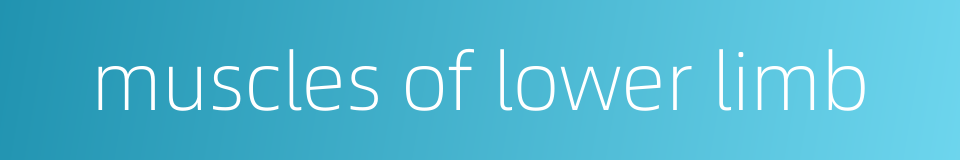 muscles of lower limb的同义词