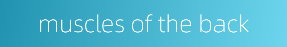 muscles of the back的同义词