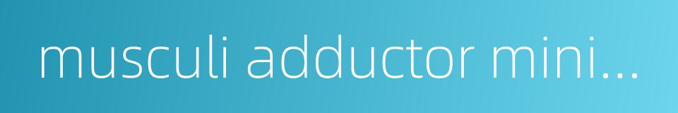 musculi adductor minimus的同义词