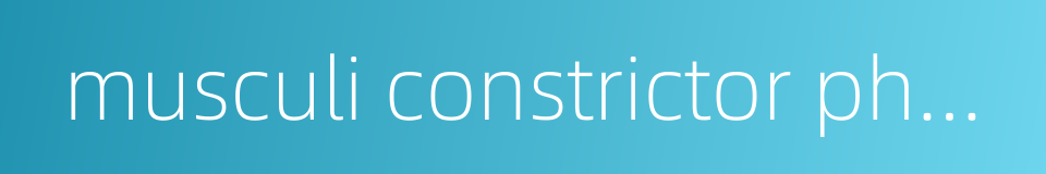 musculi constrictor pharyngis inferior的同义词