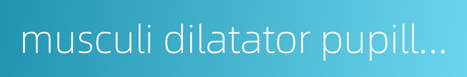 musculi dilatator pupillae的同义词