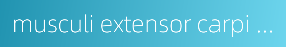 musculi extensor carpi radialis brevis的同义词
